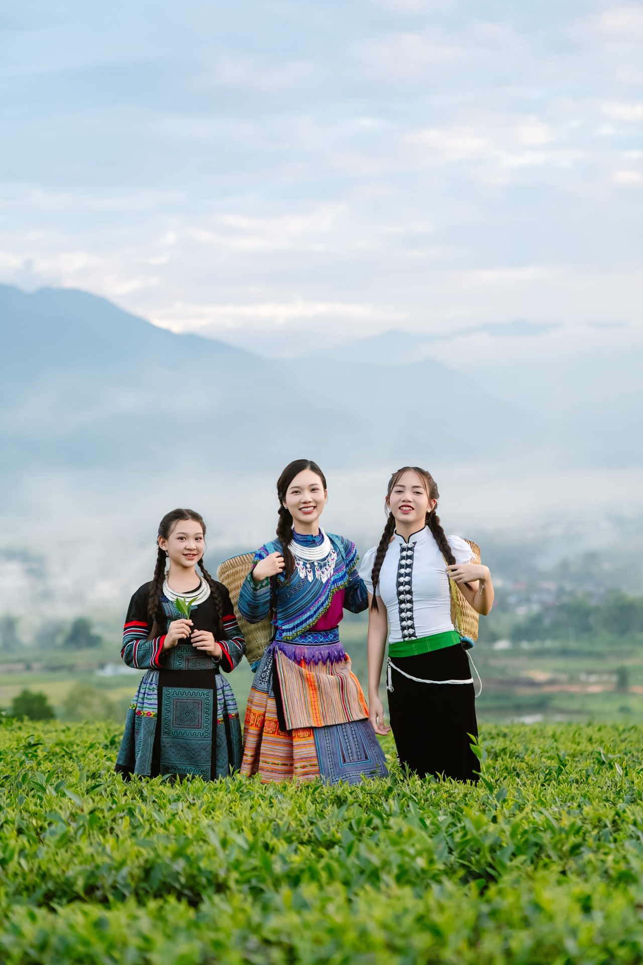 Shan Tuyet tea hills of the Northwest highlands, source of the tea and coffee served at Sa Pa Cafe Phu Quoc